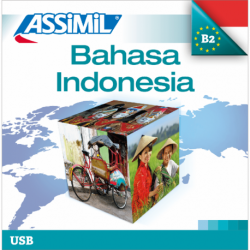 Bahasa Indonesia (Indonesian mp3 USB)